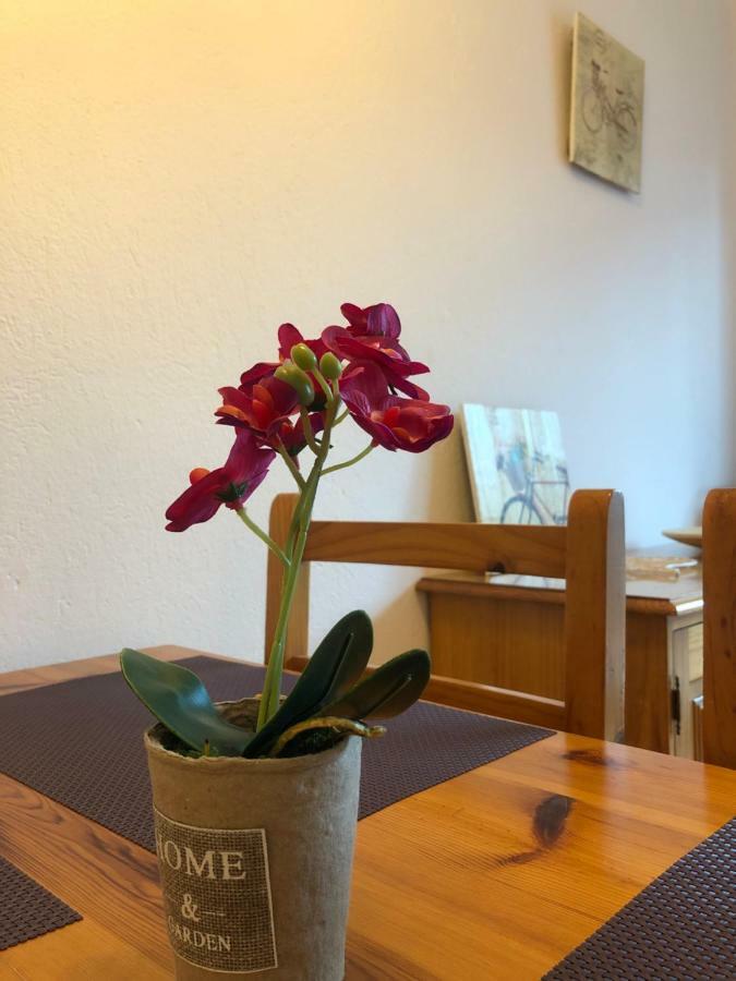 Apartaments S'Arenella カダケス エクステリア 写真